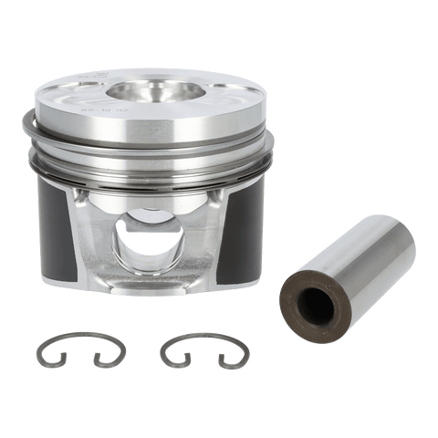 Piston 1D81, 1D81C, Ø 100 mm, EPA 4 01313542