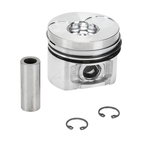 Piston 1B20, 1B20V, Ø 69 mm, Non-EPA 01387501